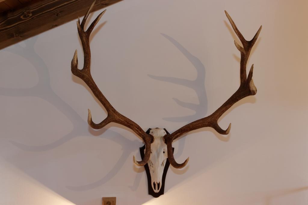 Ferienhaus Hirschkopf Mauth Oda fotoğraf